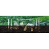 Bio Naturel (%100 bitki bazlı), Tekrar Kullanılabilir, Kompostlanabilir, Biyoçözünür (doğada çözünebilir) Pipet (10, Naturel)