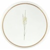 Botanical 4lü Pasta Takımı 21cm, Gündelik