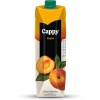 Kayısı Nektarı Karton Kutu 12x1 L