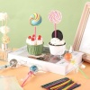 spring Cake Pop Çubuğu ve Ambalaj Seti, 300 Parça: Lolipop Çubukları, Şeffaf Poşetler ve Metalik Burgu Bağlar ile Kurabiye, Şekerleme ve Çikolata Yapımı İçin Uygun
