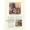 Jedi Path: A Manual for Studen: A Manual for Students of the Force
