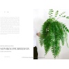 The Leaf Supply Guide to House Plants: The Definitive Guide to House Plants