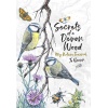 of a Devon Wood: My Nature Journal