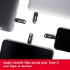 128GB Ultra Dual Drive Go USB Type-C Flash Drive, Flash Sürücü SDDDC3-128G-G46