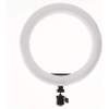 MC-16 Ring Led Light