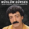 Gürses (Benim Kaderim/Arkadaş Kurbanıyım 8697401000009) PLAK