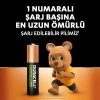 Şarj Edilebilir AAA İnce Kalem Pil (2li Paket), 900 mAh NiMH, Önceden Sarj Edilmiş, Şarj Edilebilir pilimiz