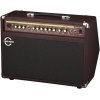Sherwood30R 30 Watt Akustik Amfi (Reverb)