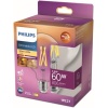 LED Classic 60W G93 E27 Kısılabilir Filament Glob WGD90