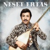 Ertaş (Sazlı Sözlü Oyun Havaları) Plak LP