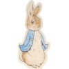 Meri Peter Rabbit Peçete (20li)