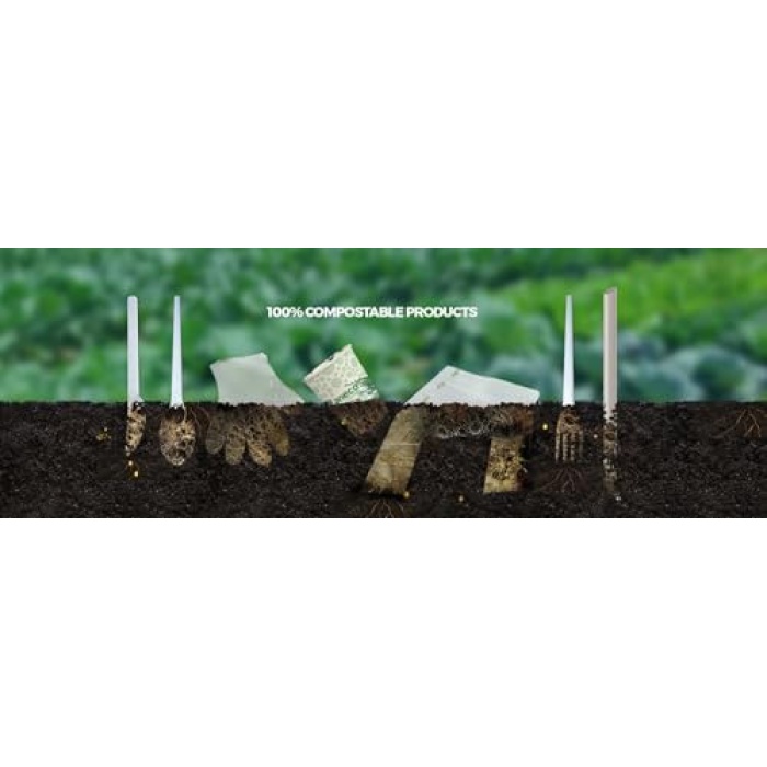 Bio Naturel (%100 bitki bazlı), Tekrar Kullanılabilir, Kompostlanabilir, Biyoçözünür (doğada çözünebilir) Pipet (10, Naturel)