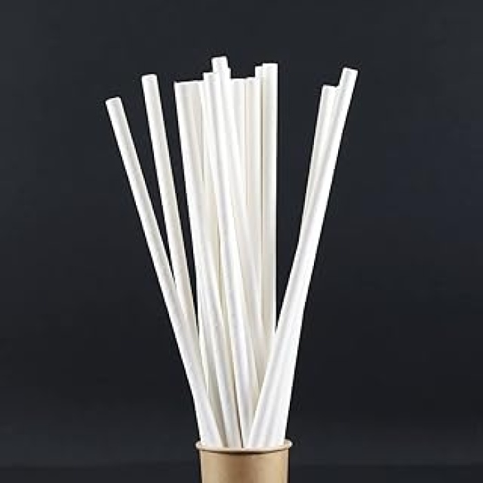 janset Kağıt Pipet 100 adet beyaz kağıt pipet, çap 6 mm 20 cm, PLA/PE içermez, biyolojik olarak çözünebilir tek kullanımlık pipet, sağlam kağıttan