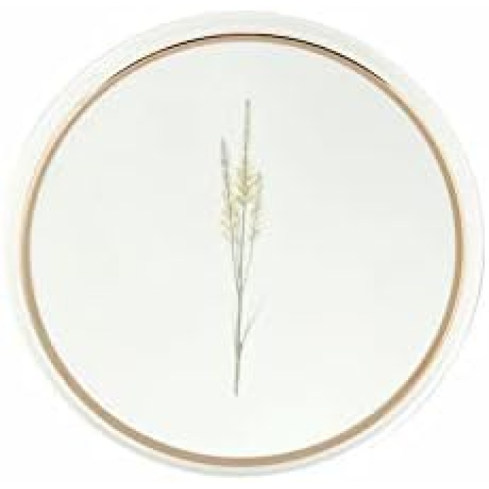 Botanical 4lü Pasta Takımı 21cm, Gündelik