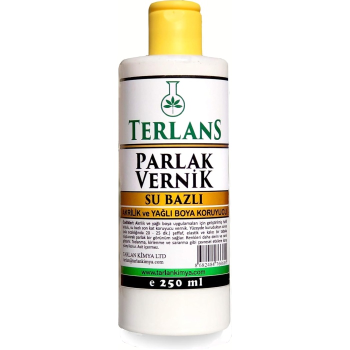 Su Bazlı Parlak Vernik 250 ml Akrilik ve Yağlı Boya Koruyucu
