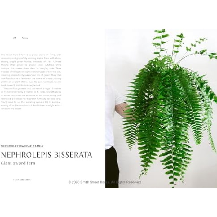 The Leaf Supply Guide to House Plants: The Definitive Guide to House Plants