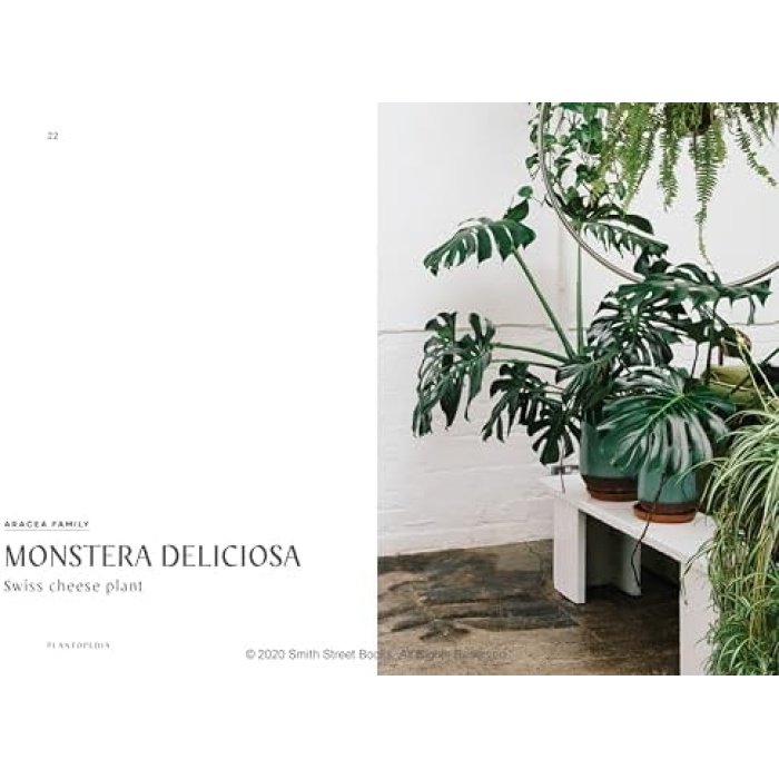 The Leaf Supply Guide to House Plants: The Definitive Guide to House Plants