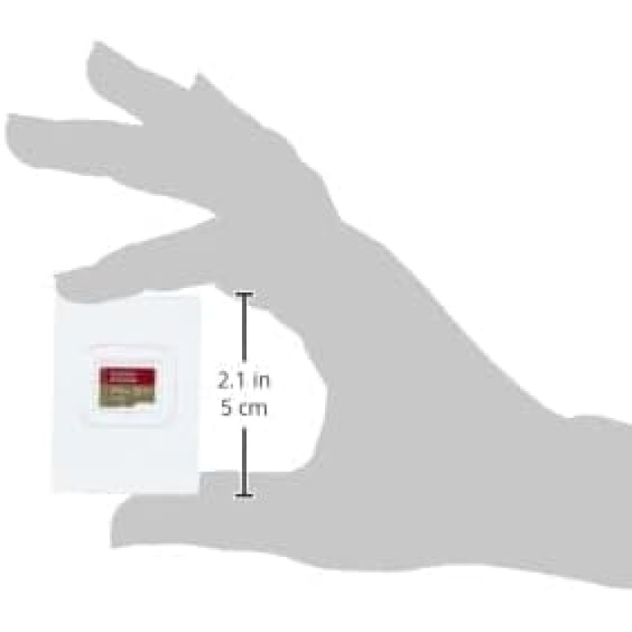 Extreme microSD UHS I Card 256GB for 4K Video on Smartphones, Action Cams & Drones 190MB/s Read, 130MB/s Write.