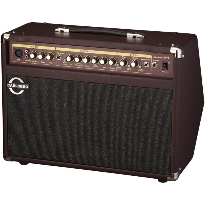 Sherwood30R 30 Watt Akustik Amfi (Reverb)