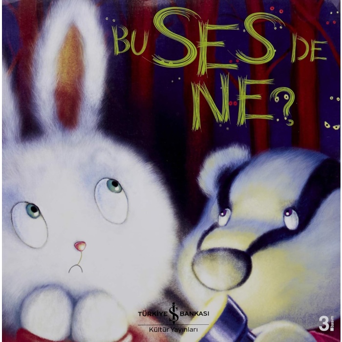 Ses de Ne?