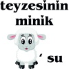 Baskı Kağıdı Bebek Baskı Ütü Ile Yapışan 12cmx15cm Transfer Baskı Kağıdı BSK150