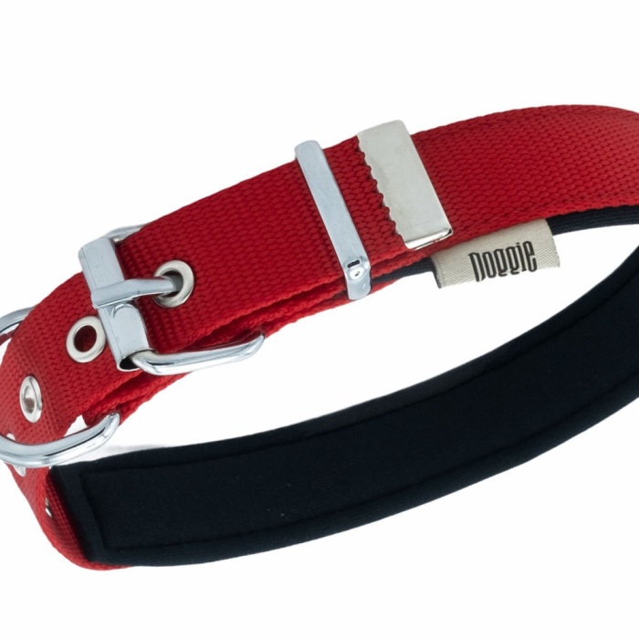 Kampçılık Doggie Konfor Dokuma Boyun Tasması Kırmızı 2.5*42-50 cm (DSBT-2510 L)