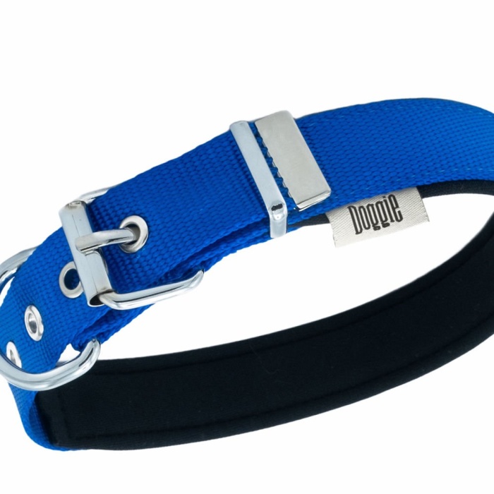 Kampçılık Doggie Konfor Dokuma Boyun Tasması Royal Blue 2.5*42-50 cm (DSBT-2510 L)