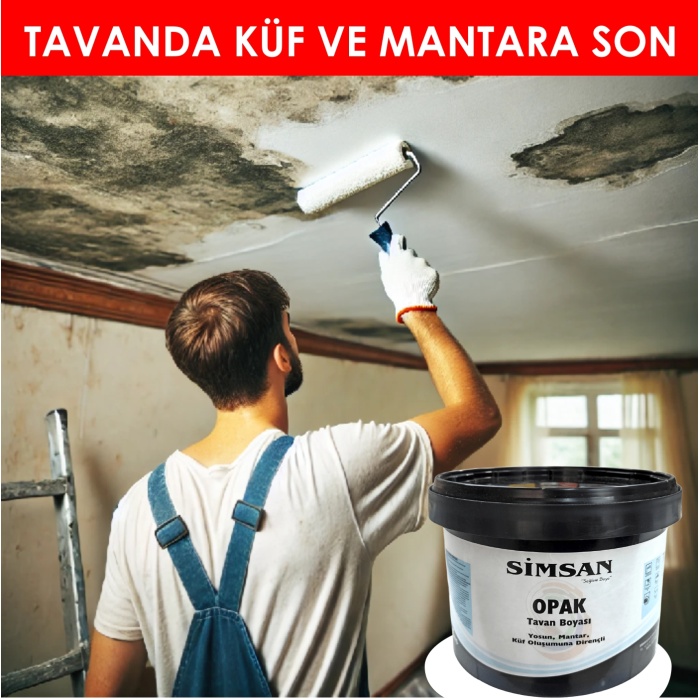 SİMSAN Opak Küf-Mantar-Yosun oluşumuna dirençli tavan boyası beyaz 3.5kg-Son kat-Banyo Tavanlarına