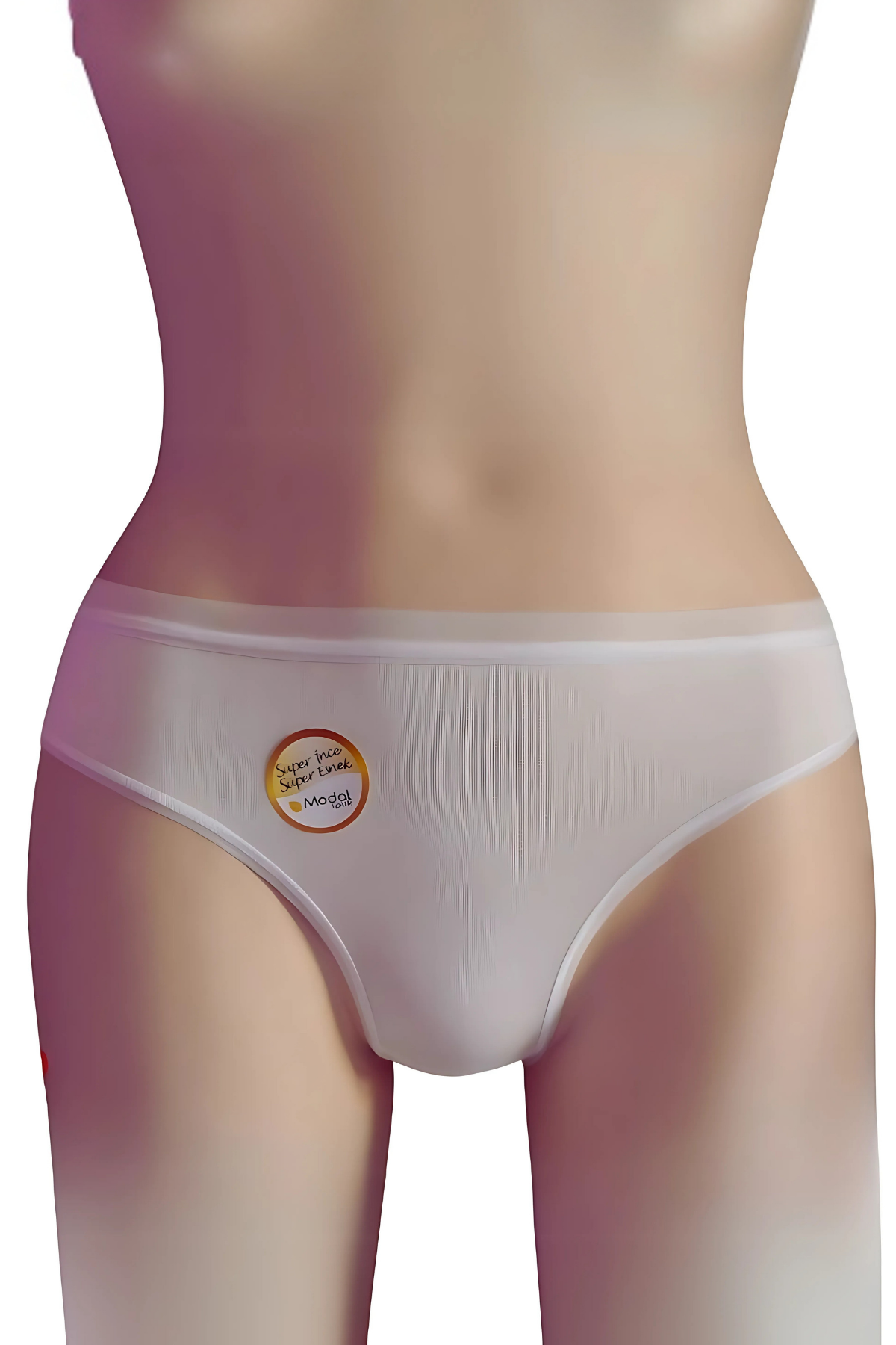 2468 Bikini Transparan Lastik Mıcro Modal