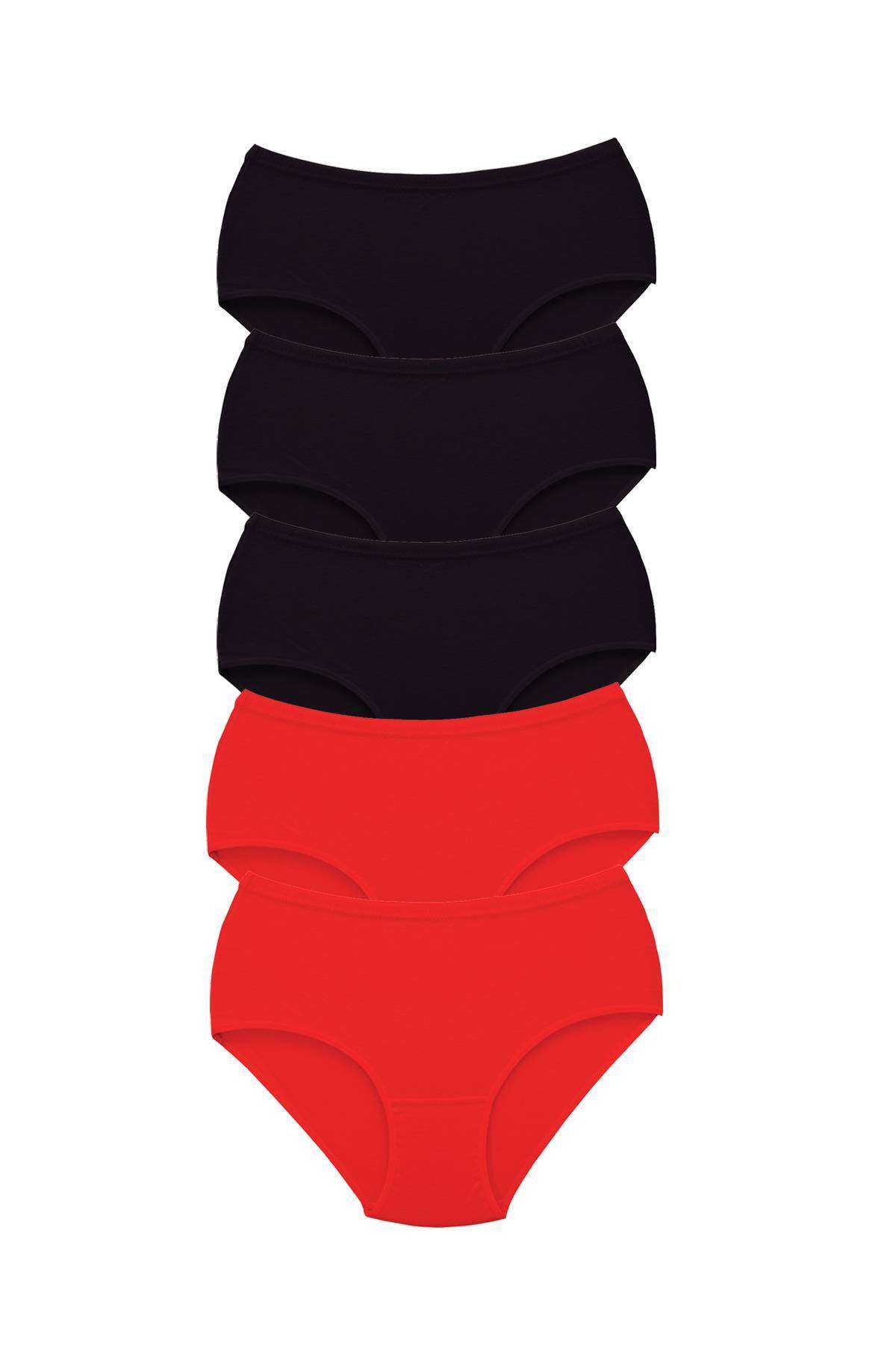 5 Adet Tutku Kadın Yüksek Bel Bato Kalın Lastik Külot S2 görsel 1