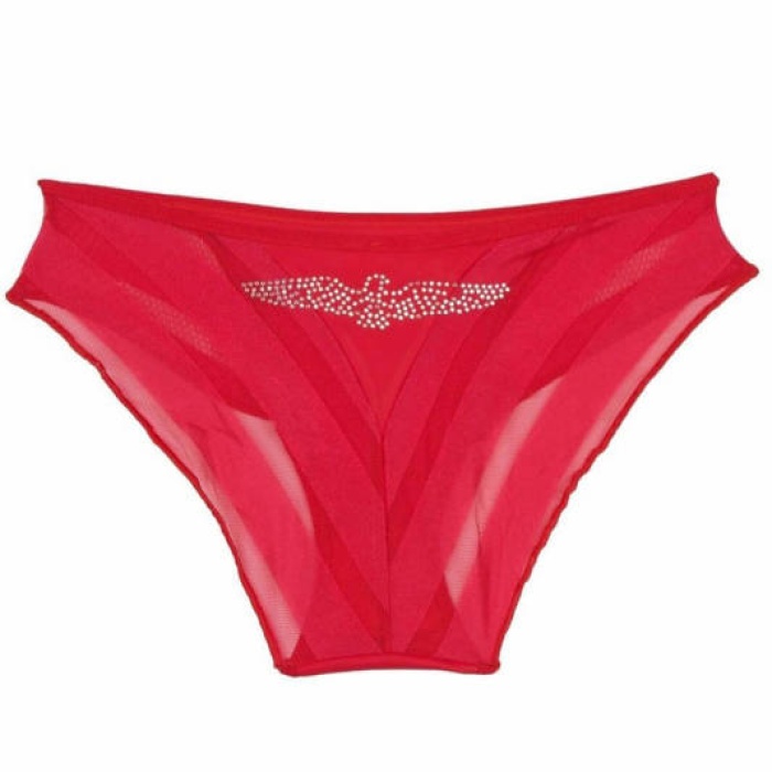 X-Lady Bikini Külot 504
