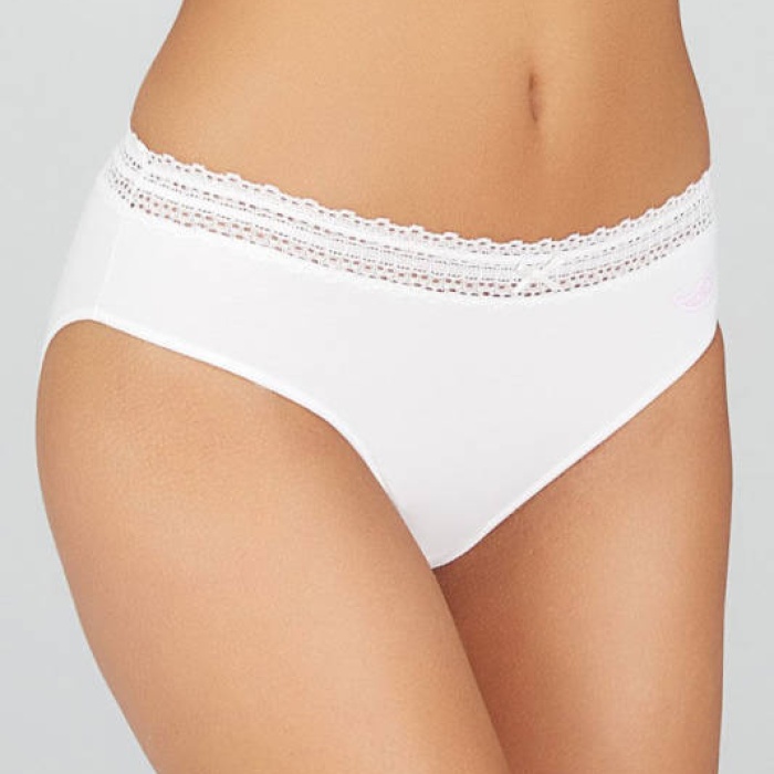 Kom Begonia 3 Lü Bikini 41BK20391