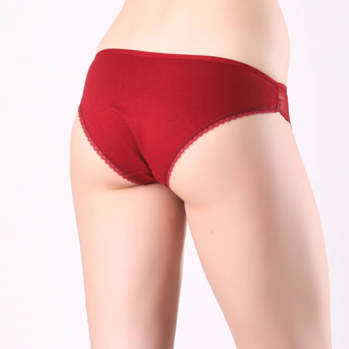 Dantelli Bikini Külot 4665