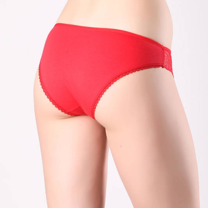Dantelli Bikini Külot 4665