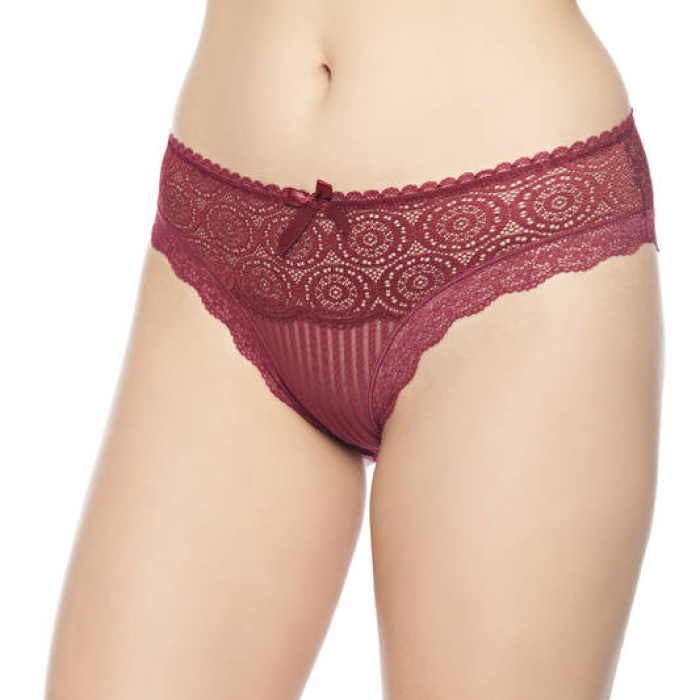 Güpür Detaylı Transparan Çizgili Bikini Külot 4330