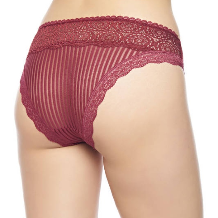Güpür Detaylı Transparan Çizgili Bikini Külot 4330