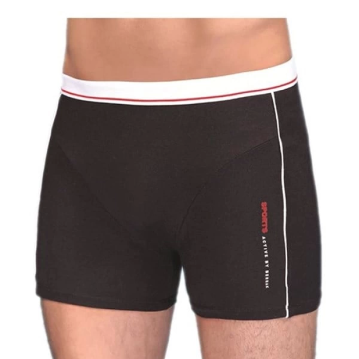 Berrak Erkek  Modal Silva Boxer 1078