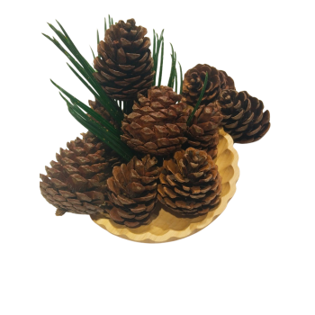 Monalisa Home Yeni Yıl 10 Adet  Ham Çam Kozalağı