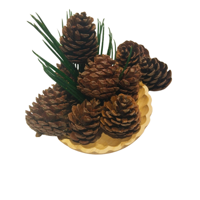 Monalisa Home Yeni Yıl 10 Adet  Ham Çam Kozalağı