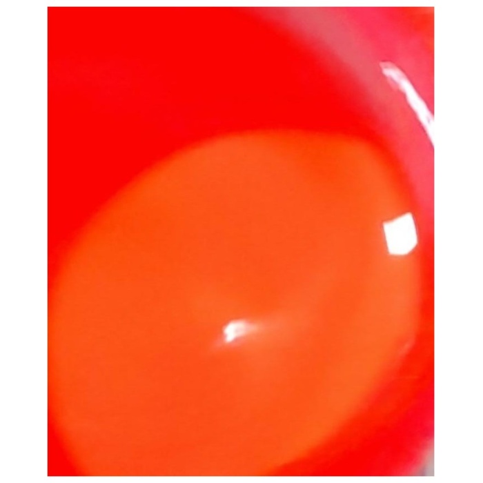 Alkol Bazlı Epoksi Boya ve Renklendiricisi 15 cc - Neon Turuncu