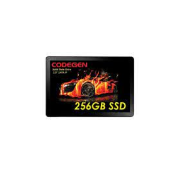 CODEGEN CDG-256GB-SSD25 2.5 256GB (500/450MB/s) SATA SSD Disk