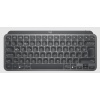 LOGITECH MX MİNİ KLAVYE TÜRKÇE TUŞ 920-010504