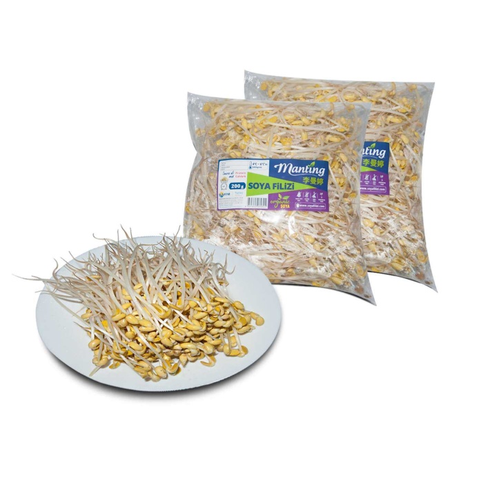 Soya Filizi - Soybean Sprouts Kg