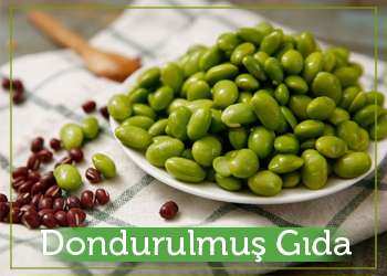 Dondurulmuş Gıda