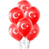 Ay Yıldız Baskılı Pastel Balon 12 100lü
