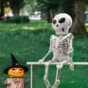 Halloween folyo Balon -İskelet-