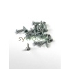 Sunta vidası 2.5x10 mm 1000 adet çinko renk
