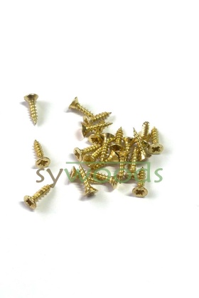 Sunta vidası 2.5x10 mm 1000 adet sarı renk