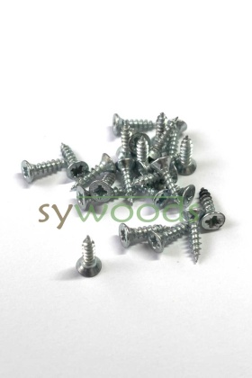 Sunta vidası 2.5x10 mm 1000 adet çinko renk