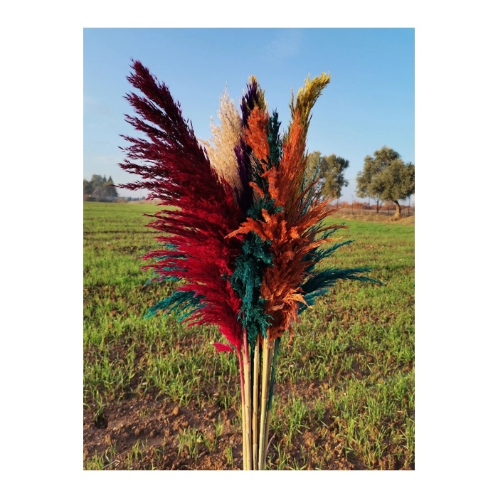 Kuru Çiçek Pampas 10 Adet 100 Cm Boy - Karışık Renkte